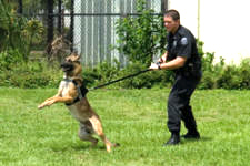 Corporal Michael J. Roberts